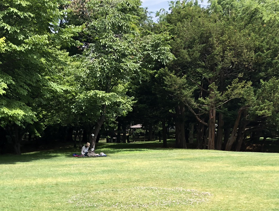 芝生で憩う